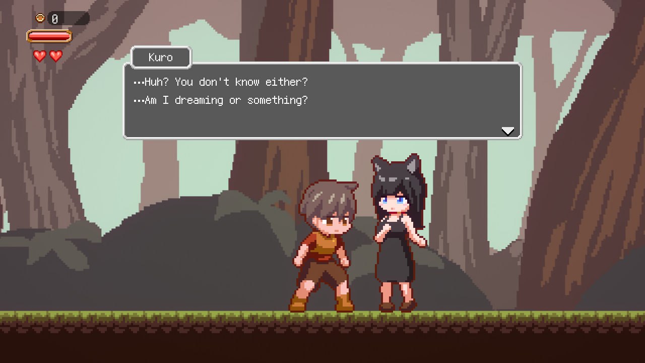 Lost in the World of Succubi