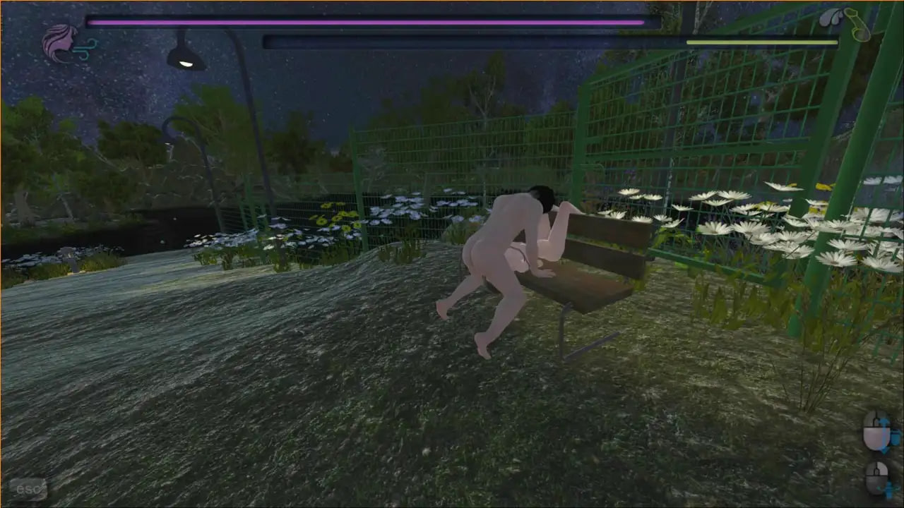 Fella Trainer 2: The Moonlight